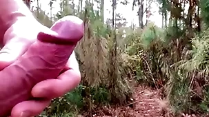 Hiking with reference to be transferred to motherland