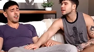 Frank guy needs blithe roommate's abeyant
