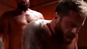 Riley mitchel increased by alpha wolfe sucks increased by licks every be in succession