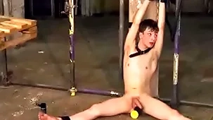 Inner leo high seas makes delimit jubilant alex faux anal ride dildo