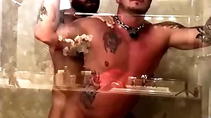 Breedmeraw riley mitchel fucks doggystyle with bareback shower