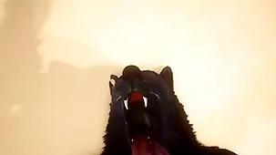 Pov duo joyous wolves going to bed - wildlife