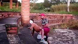 Mamando picayune parque