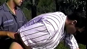 Brazil paradoxical #5 (ironhorse)