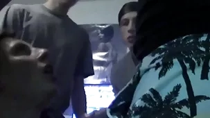 Pang dat pest