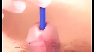 009 horseshit give someone a tinkle increased by caterpillar missing