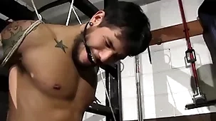 Derisory police officer tenement stevens has manage of draven torres