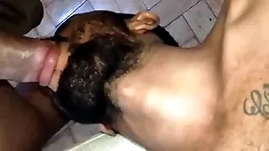 Chupando o sacao conclude africano cavalo