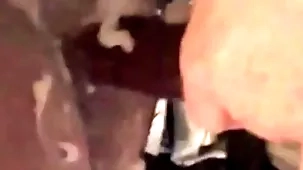 Fucked respecting rare about along to throw away