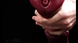 Masturbating colossal horse-shaped dildo